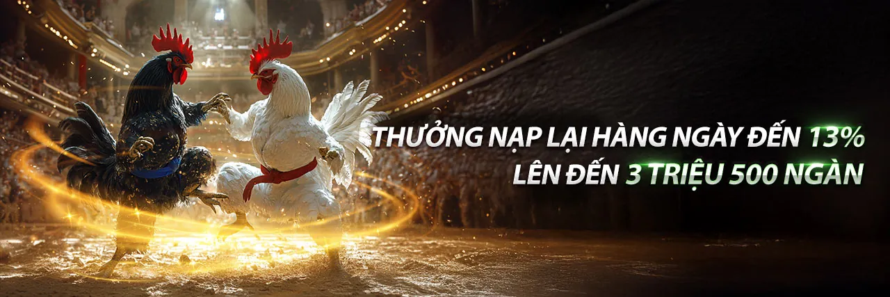 Đá Gà Trực Tiếp K9BET - Trận đấu kịch tính tại đấu trường